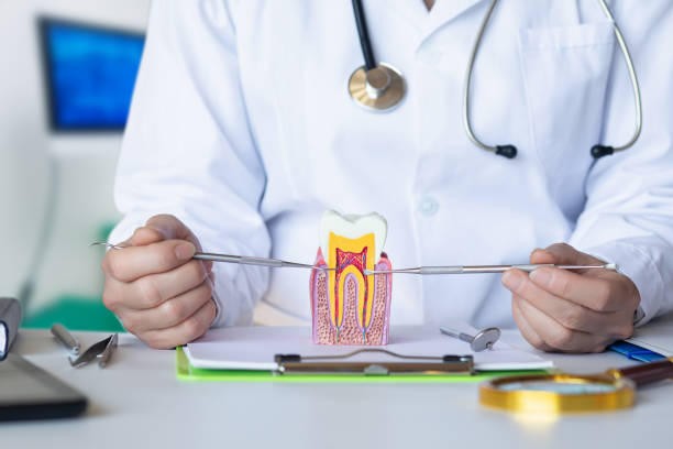 Best Broken or Chipped Tooth Repair in Ann Arbor, MI